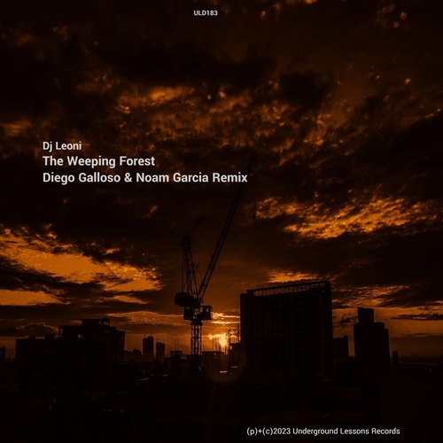 DJ Leoni - The Weeping Forest (Diego Galloso & Noam Garcia Remix) [ULD183]
